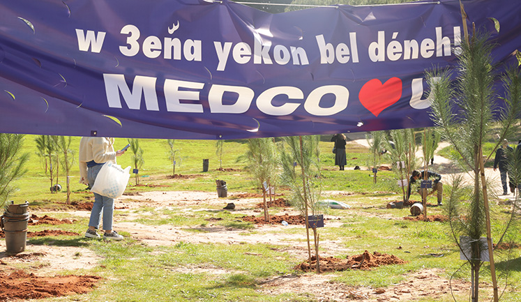 MEDCO PLANTED 217 PINE TREES